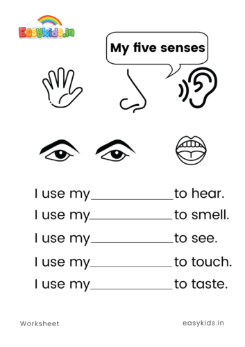 My five senses worksheet