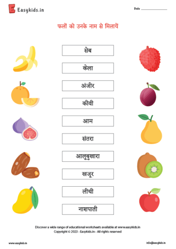 Matching Fruit Hindi