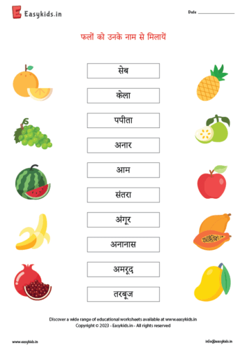 Matching fruits hindi 1