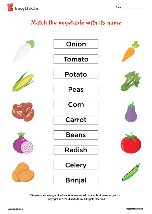 Match vegetables images with names - EasyKids.in