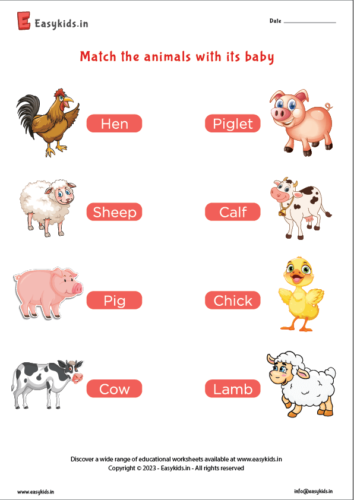 Match the animals with its baby