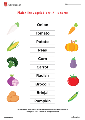 Match vegetables images with names