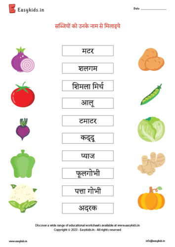 Match the vegetables with its name