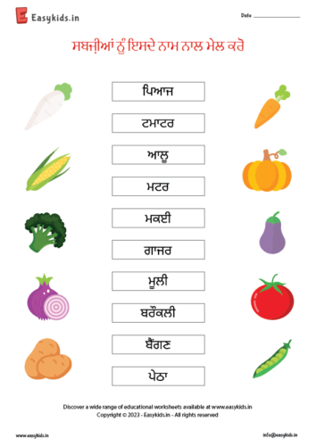 Punjabi matching vegetables name