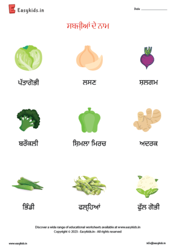 Punjabi vegetables name