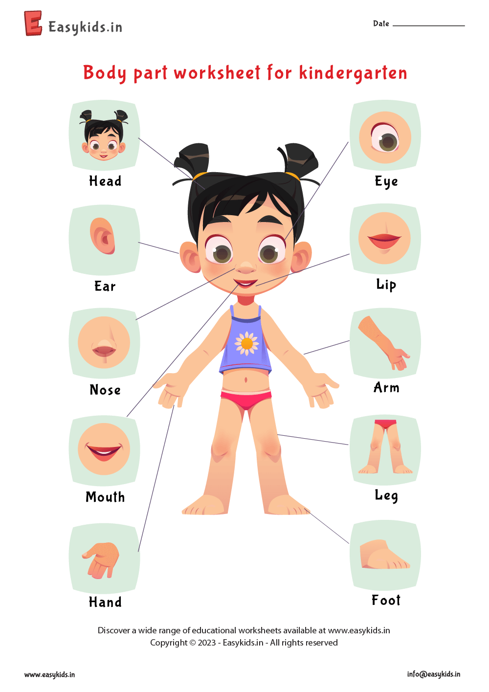 body part worksheet for kindergarten