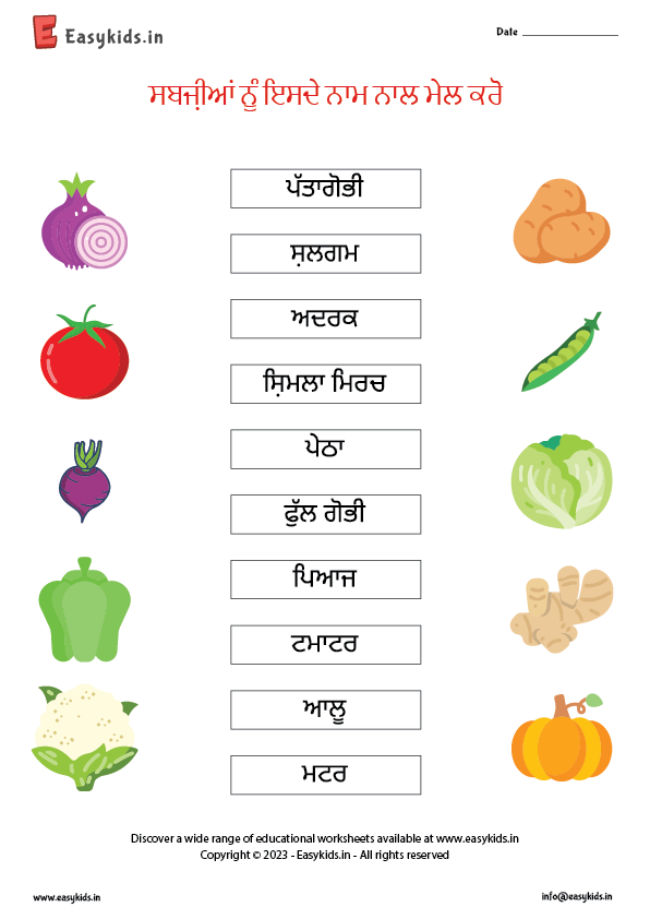 vegetables name matching punjabi