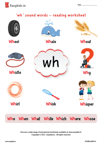 wh sound words - reading worksheet