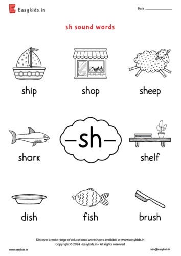 list of sh words