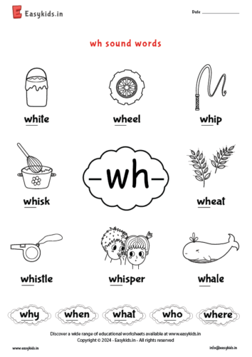 wh sound words – free worksheet