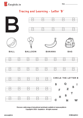 Alphabet tracing worksheets – Capital letter B