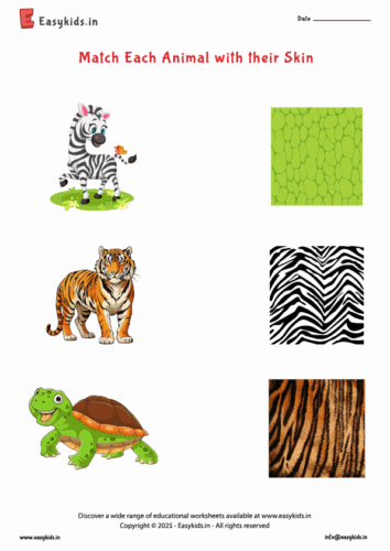 Kindergarten Worksheet – Match Animals to Their Skin